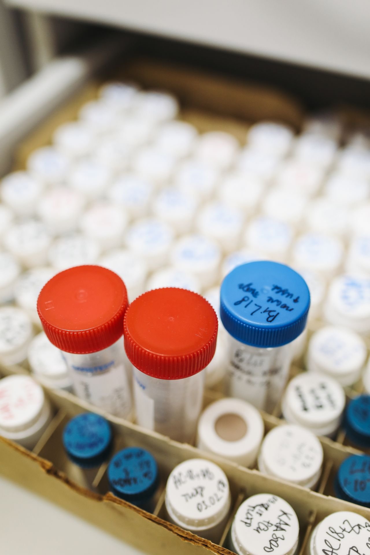 Close-up of red and blue prescription vial caps among rows of medication bottles