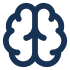 brain
