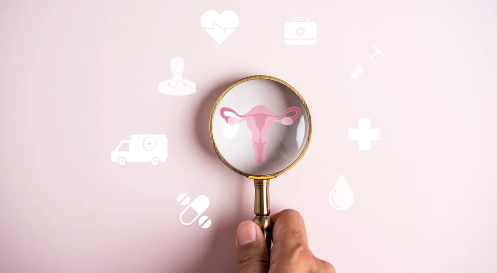 magnifying glass over image of ovary